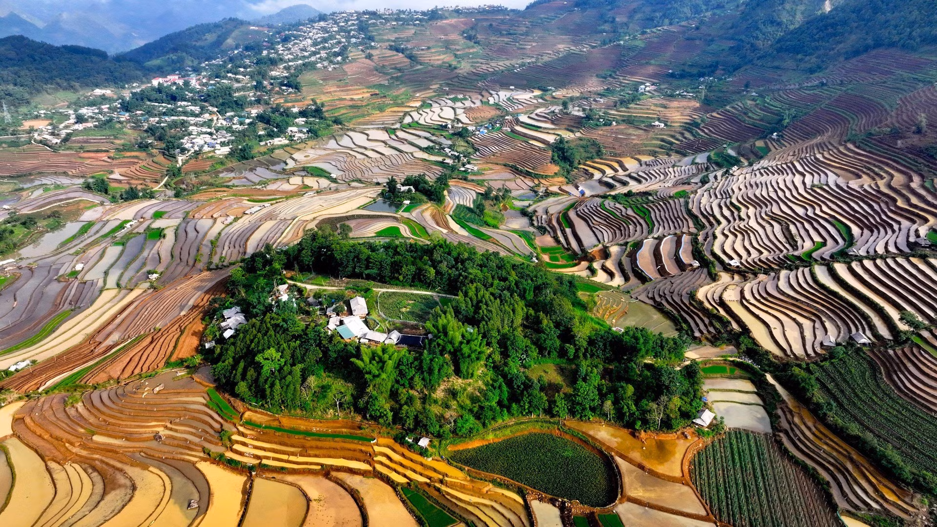 Vistas desde arriba, las terrazas de arroz parecen pinturas de colores de las altas montañas y enamoran a turistas y fotógrafos.