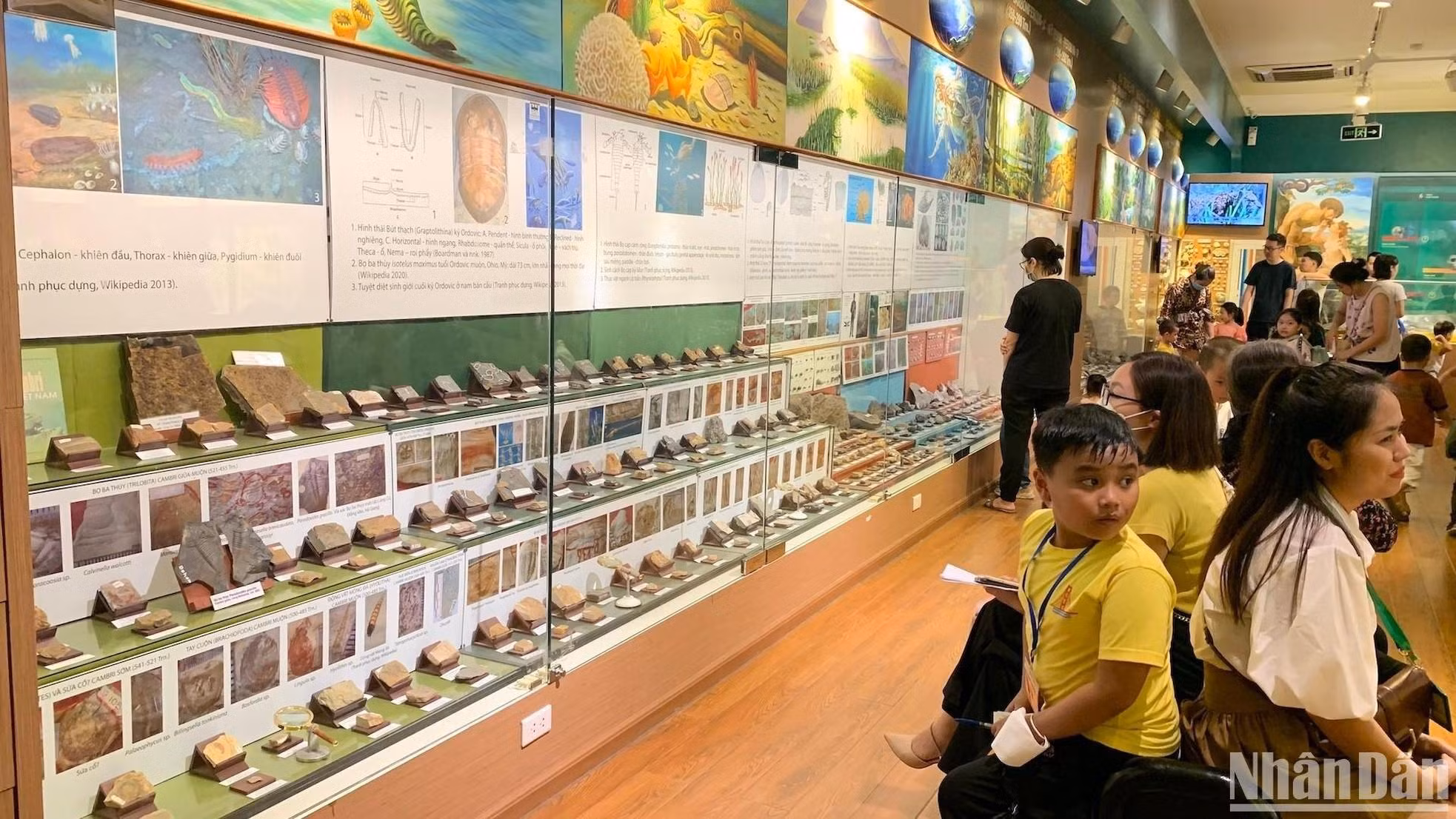 Área de exposición de la historia de la vida con muestras de fósiles típicos de los cuatro eras de desarrollo geológico.