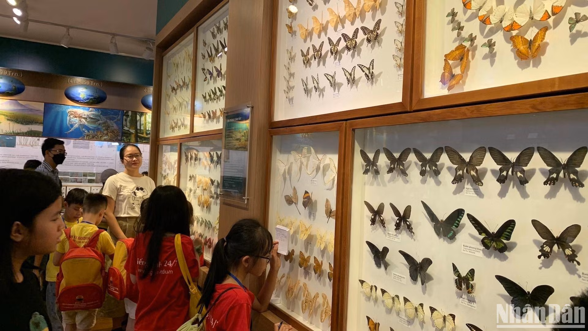 [Foto] Fin de semana agradable en Museo de la Naturaleza de Vietnam
