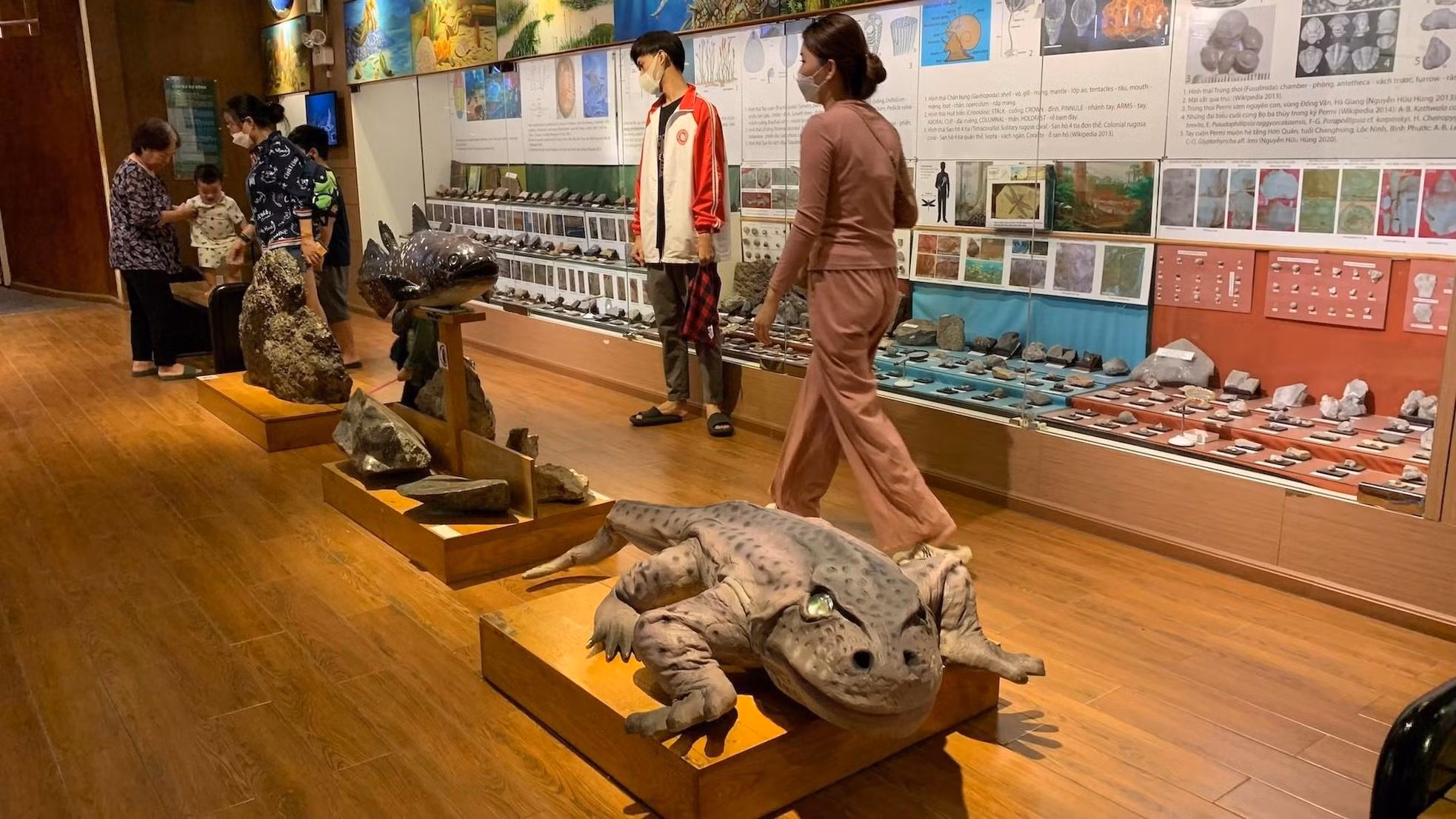 En cada área se presenta la evolución y el desarrollo de la fauna y flora del período correspondiente.