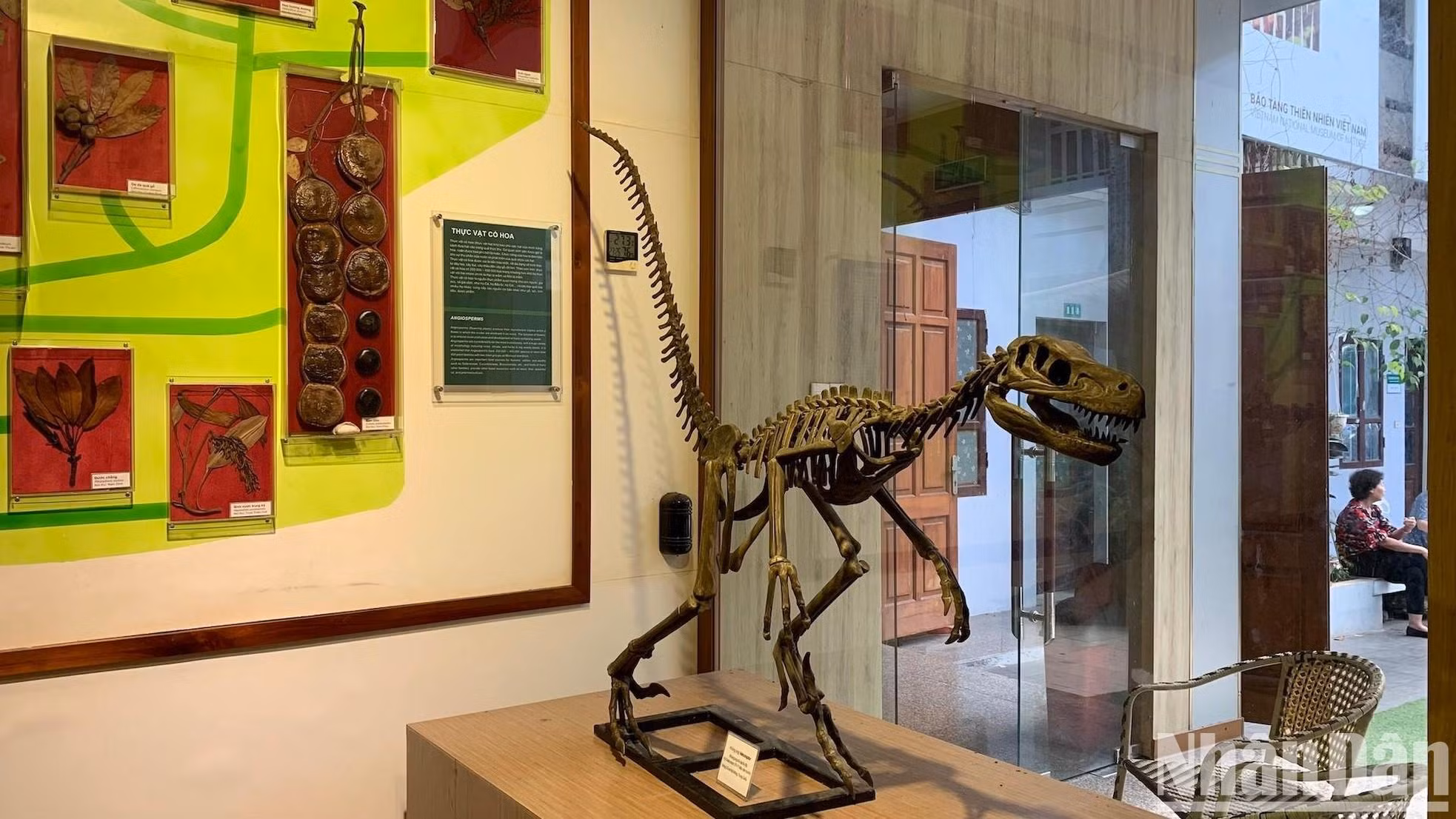 El Museo de la Naturaleza de Vietnam está abierto todos los días, menos lunes y en el Año Nuevo Lunar.