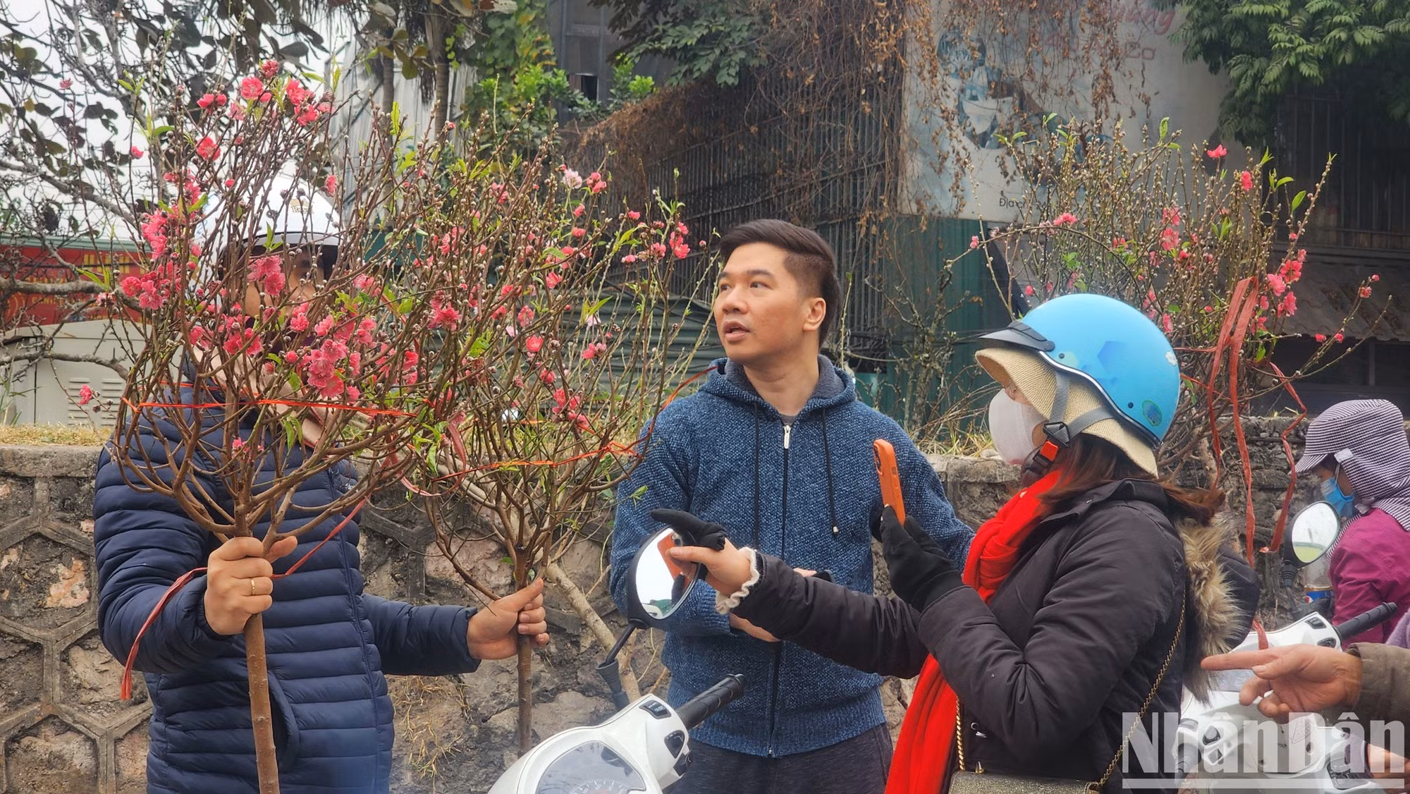 [Foto] Bullicioso mercado floral en Hanói en víspera del Tet