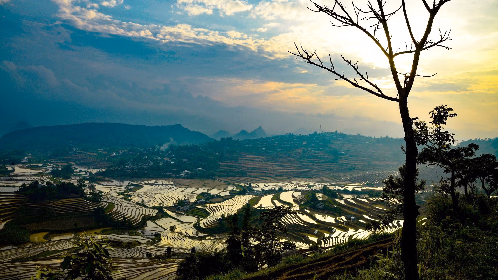 Las terrazas de arroz brindan un panorama virgen y tranquilo de la tierra alta de Lai Chau.
