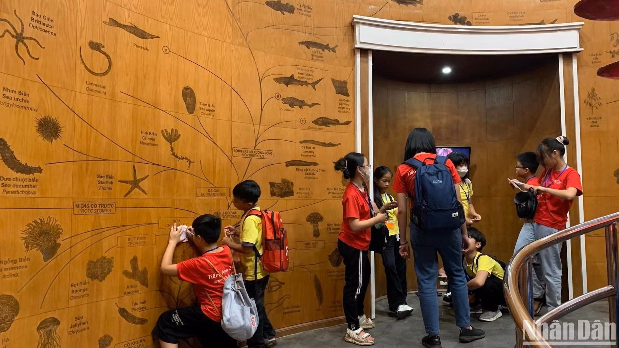 Alumnos visitan el museo durante el fin de semana.