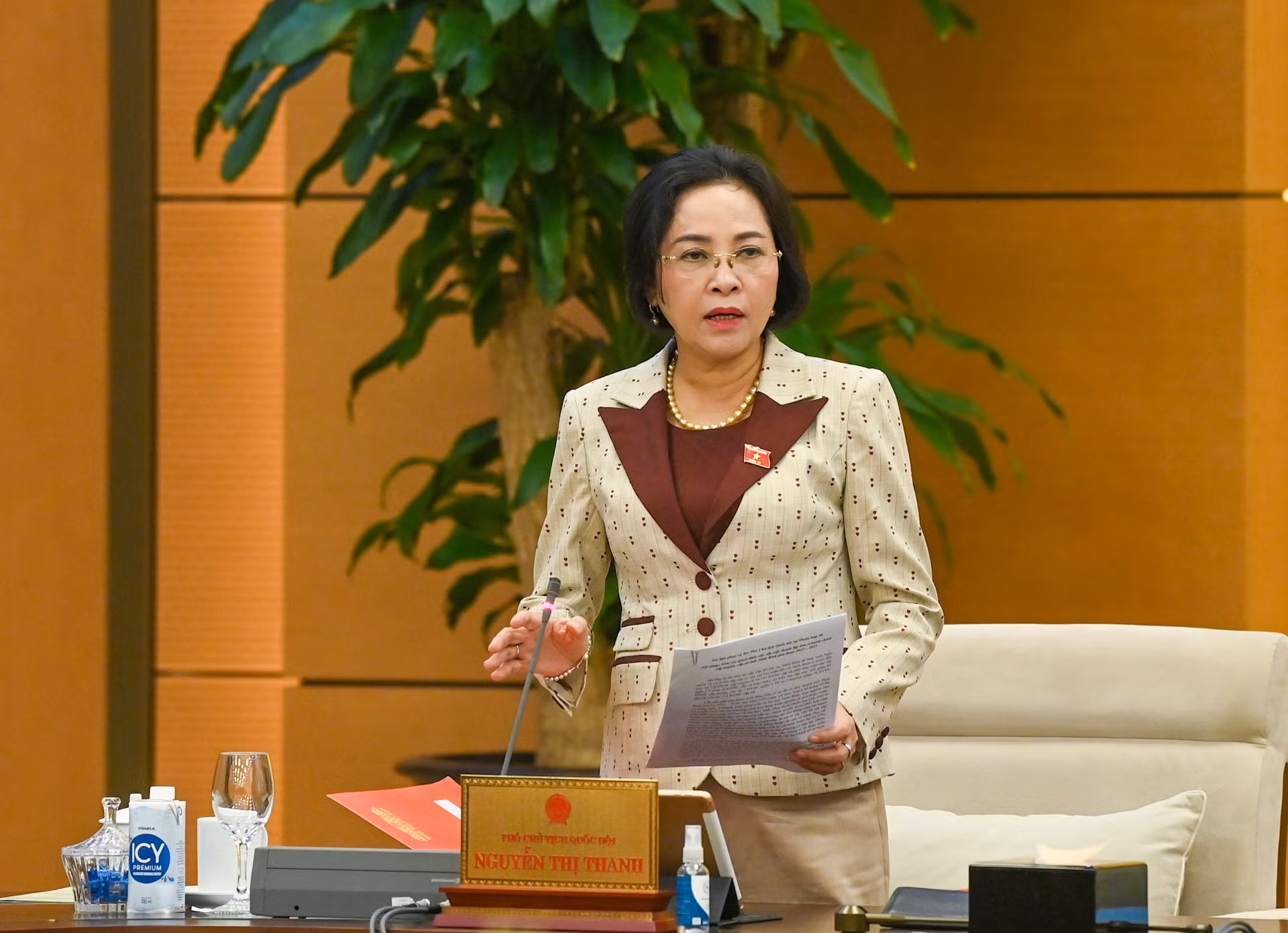 La vicepresidenta de la Asamblea Nacional Nguyen Thi Thanh.