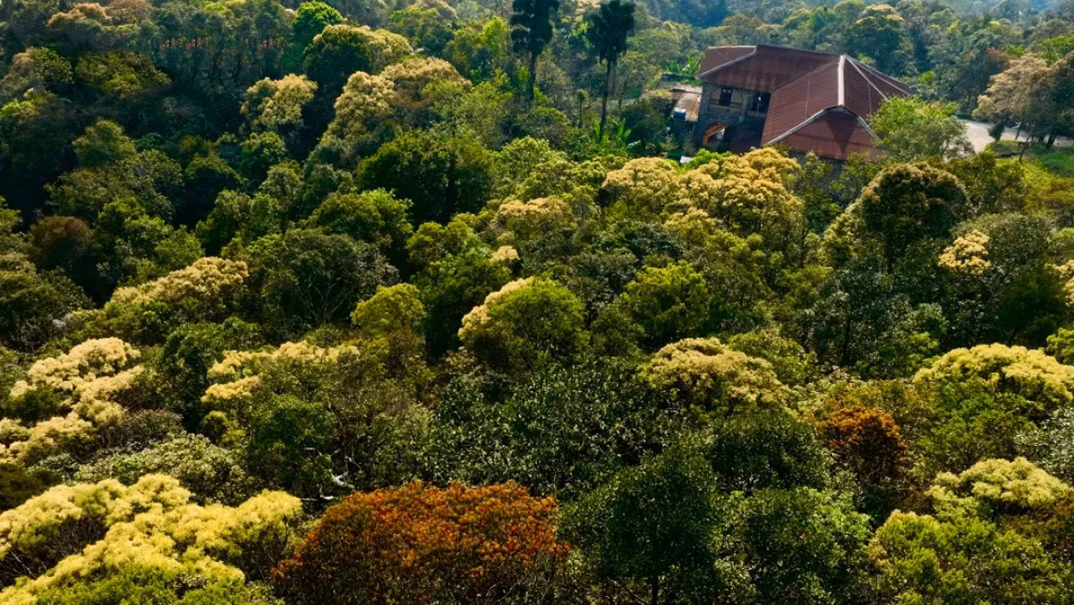 La estación seca, de marzo a diciembre, es el mejor momento para recorrer Bach Ma, ya que no llueve y es más fácil desplazarse. La estación seca, de marzo a diciembre, es el mejor momento para recorrer Bach Ma, ya que no llueve y es más fácil desplazarse.