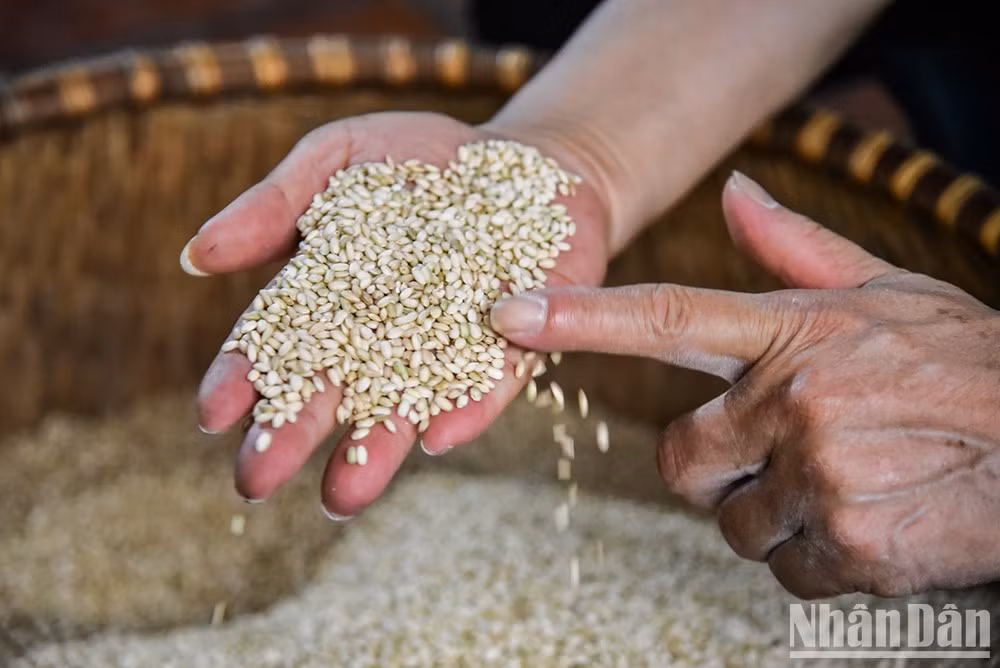 Los ingredientes principales incluyen arroz y levadura. Las hojas de loto que se utilizan como tapa para el proceso de fermentación son también importantes.
