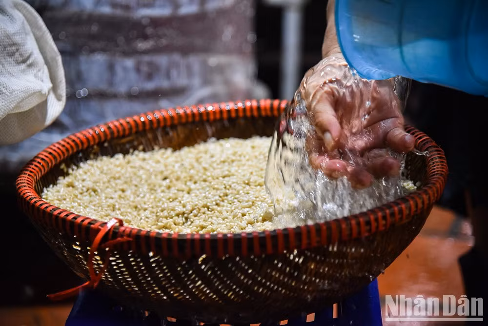 El arroz debe seleccionarse entre ciertas variedades y después de un buen lavado pasar un día entero en remojo para que todos los granos se ablanden lo suficiente.