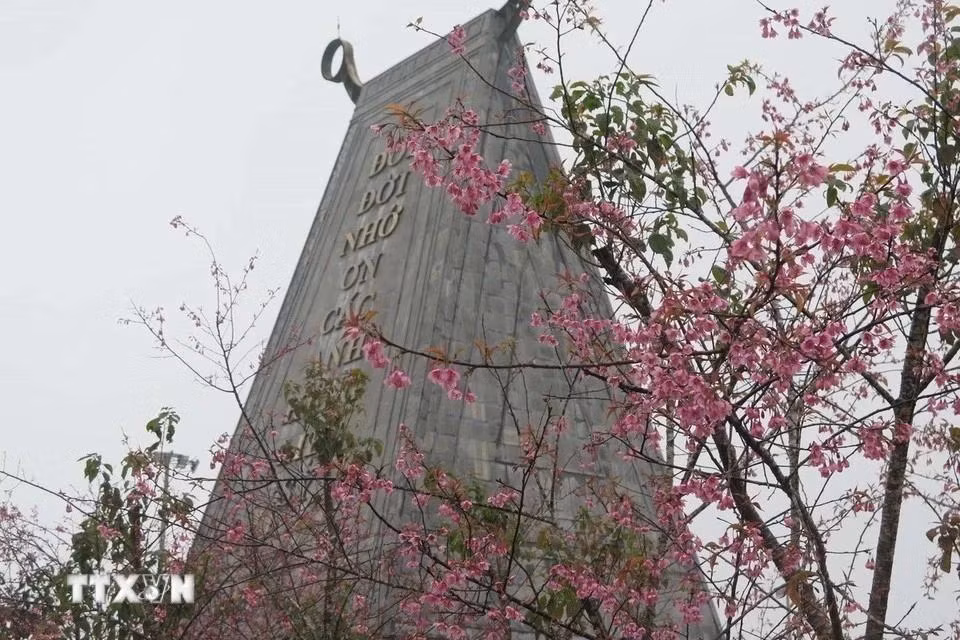 Las flores de durazno silvestre adornan el Monumento a los mártires en Mang Den.