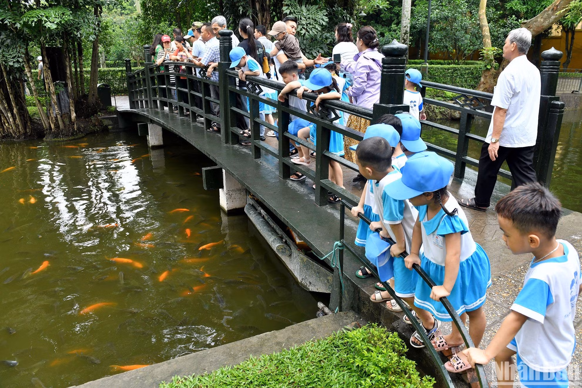 Niños observan con mucho entusiasmo el estanque de peces del Tío Ho.