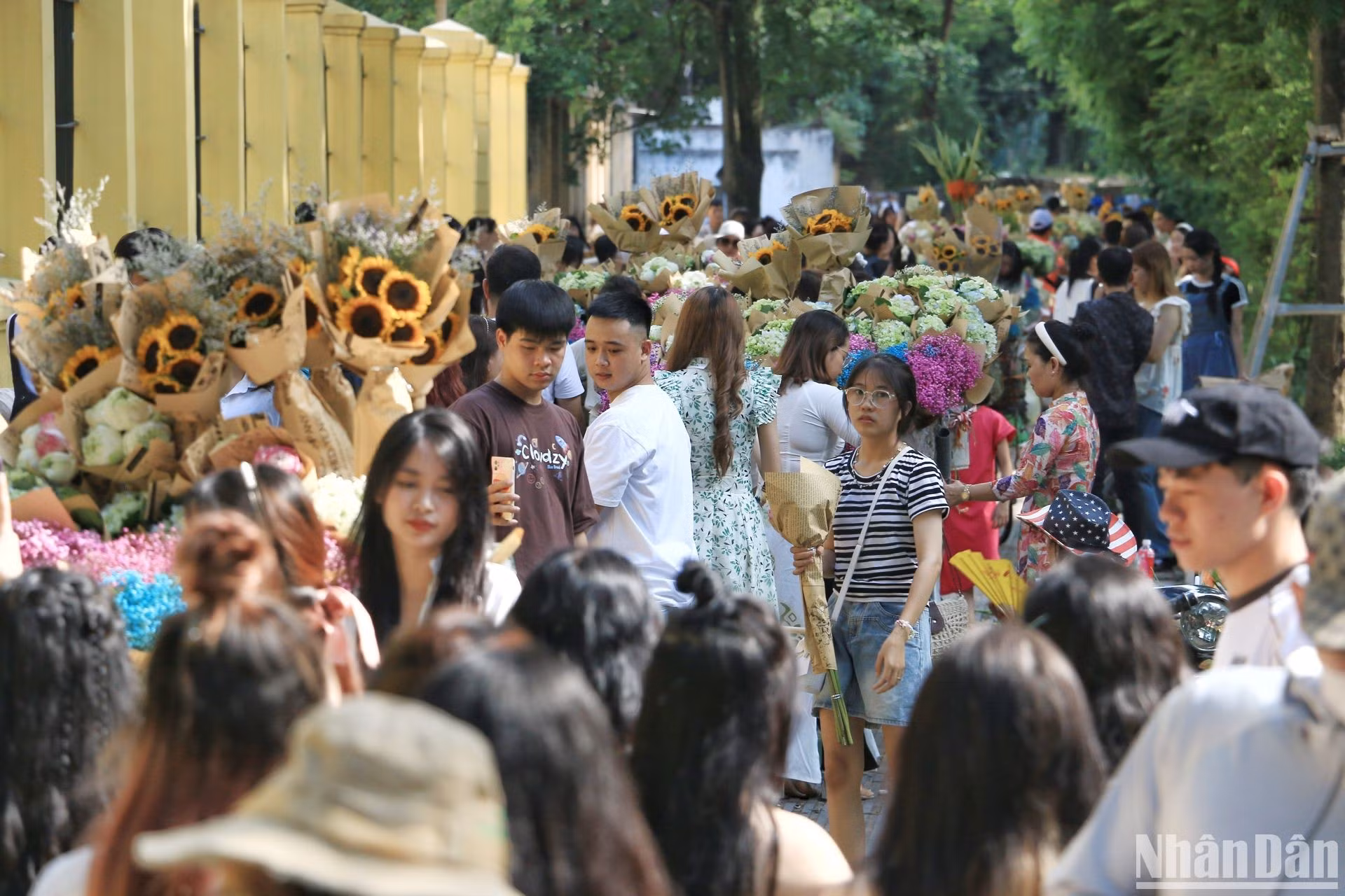 En la calle de Phan Dinh Phung, uno de los destinos favoritos de los amantes de la fotografía.