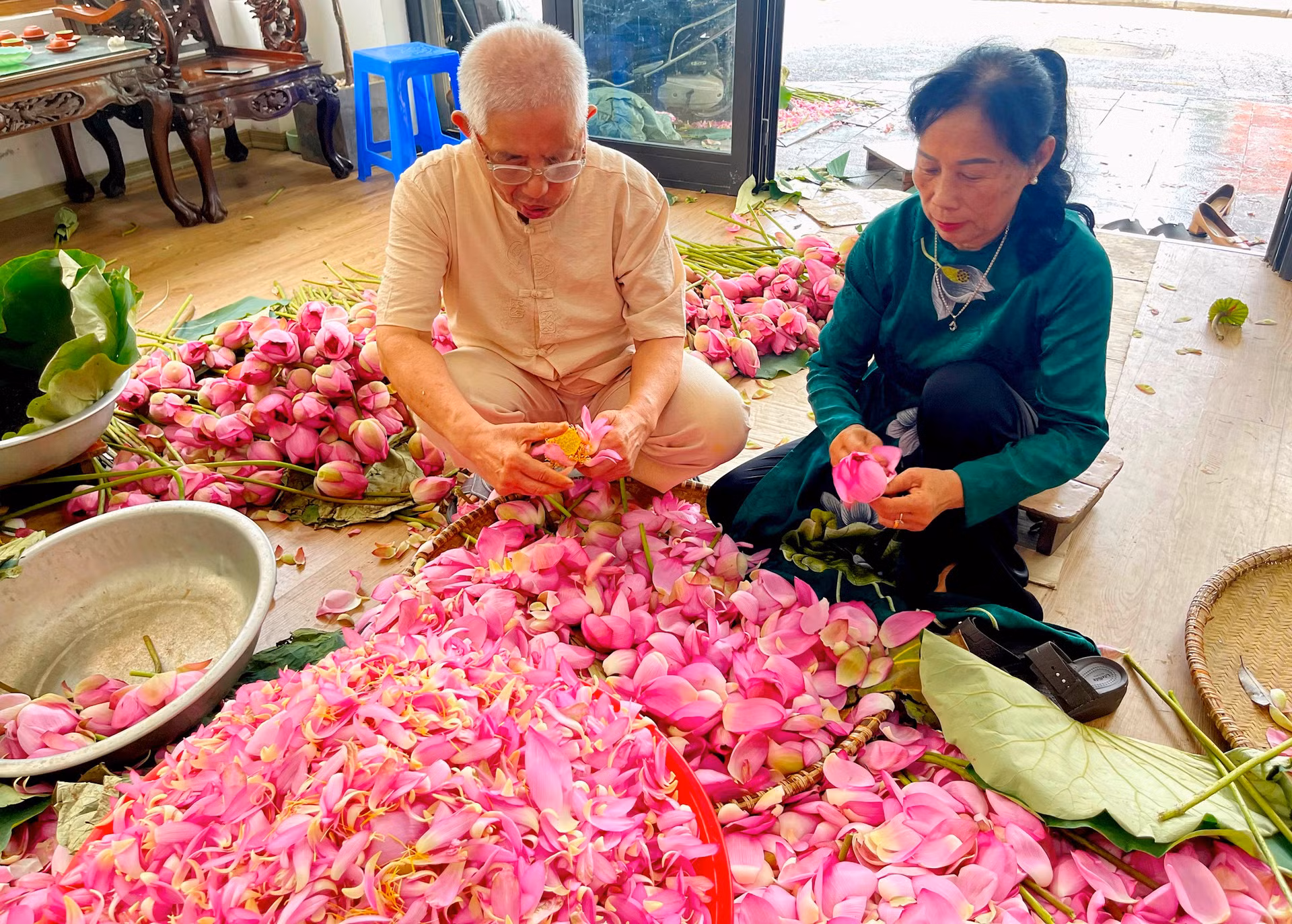 La pareja cosecha el loto por la mañana temprano, cuando las flores desprenden el mejor aroma. Según Luu Thi Hien, muchos miembros de su familia se han dedicado a la referida infusión del té y la actual generación también se suma a conservar el oficio legado por los antecesores.