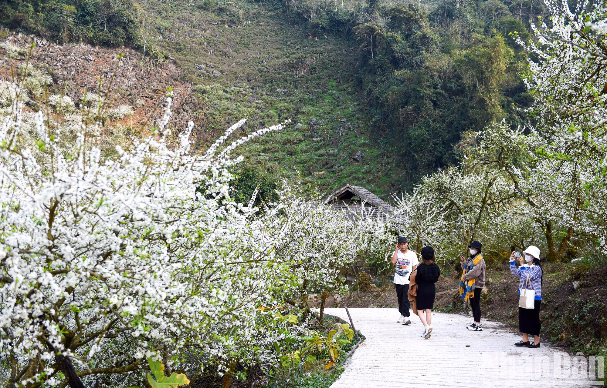 El valle es un destino ideal para los amantes de la naturaleza.