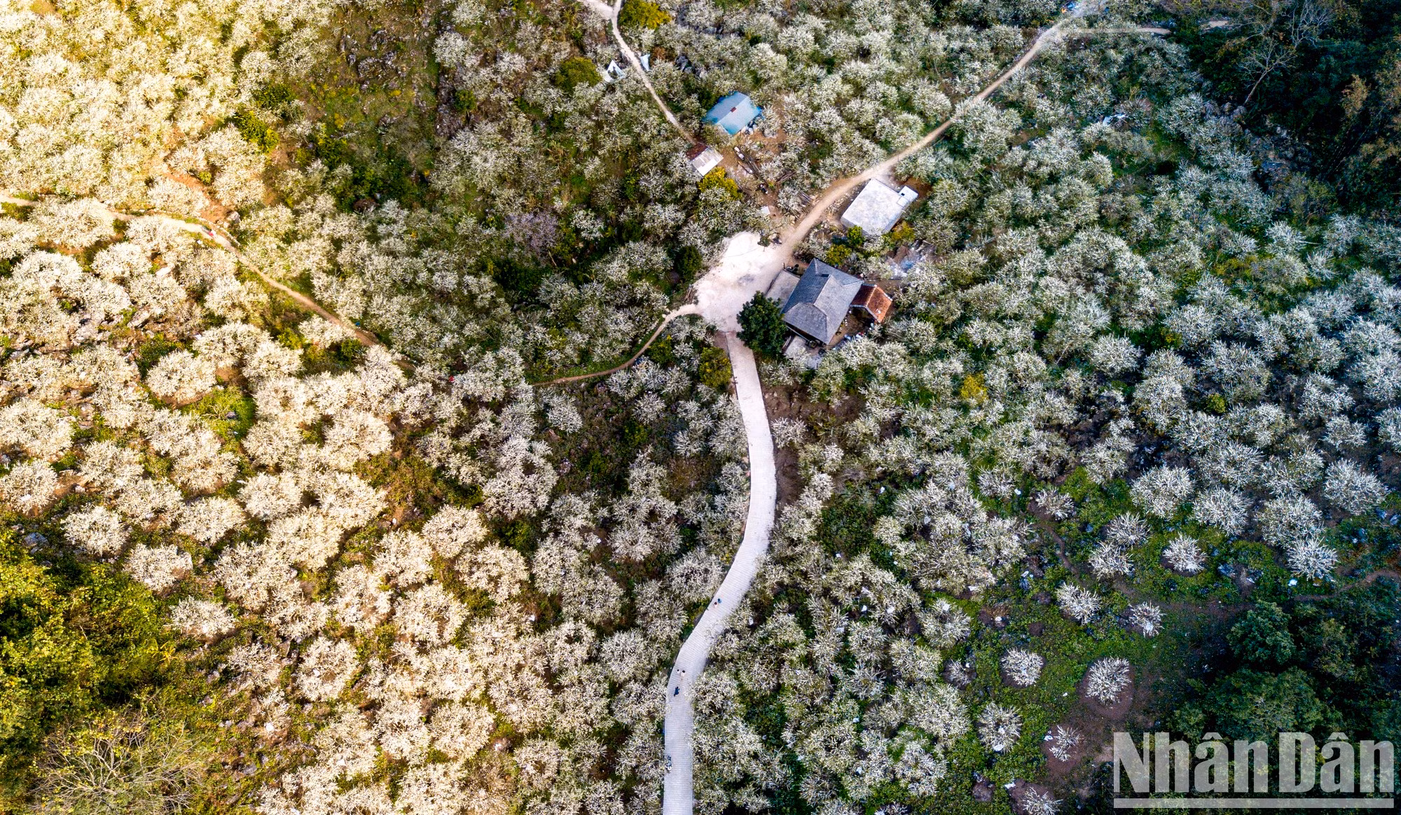 El valle de Mu Nau seduce a vista de pájaro.