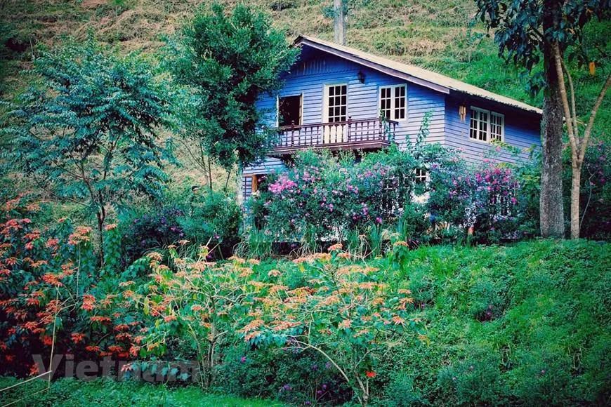 Una fascinante sinfonía de colores se mezcla en esta urbe con el encanto oculto de las flores locales y la elegancia propia de las latitudes templadas. Las flores embellecen a Da Lat con sus diversas especies y colores, incluyendo lavanda, tulipanes, hortensias de hoja grande, claveles, gladiolos, violetas, begonias, margaritas blancas, margaritas amarillas de calimero, mimosa, rosas, campanillas de Texas, jacarandas azules y cerezas silvestres del Himalaya. La localidad tiene un aspecto único durante épocas particulares del año, cuando el rojo radiante de las cerezas silvestres del Himalaya afloran en enero o cuando las campanillas de Texas muestran su encantador color púrpura en abril. En octubre, la ciudad luce muy romántica con flores de mimosa amarillas.