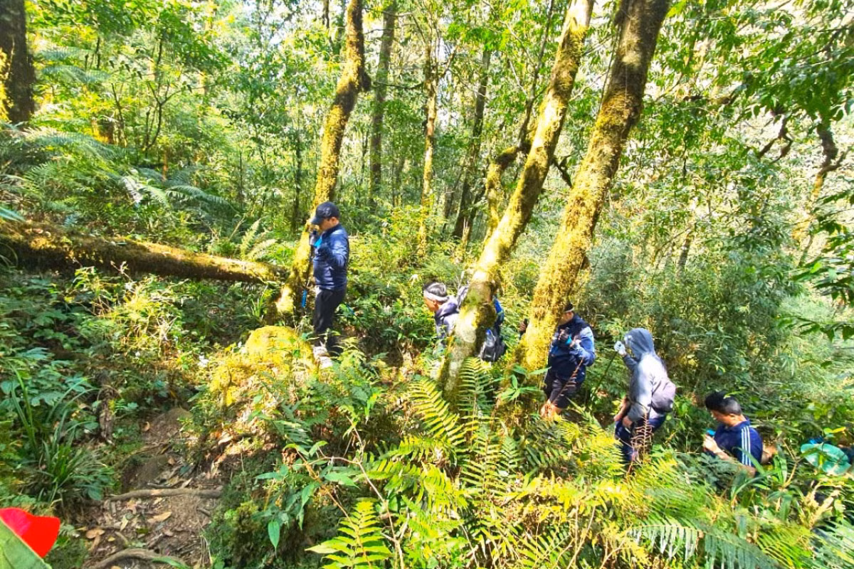 Los excursionistas pueden partir de la aldea de Si Thao Chai, en Ho Thau, o de la comuna de Ta Leng, del distrito de Tam Duong. A lo largo de la caminata enfrentan cuantiosos obstáculos, lo que requiere buena salud, para lo cual existen varias paradas de descanso.