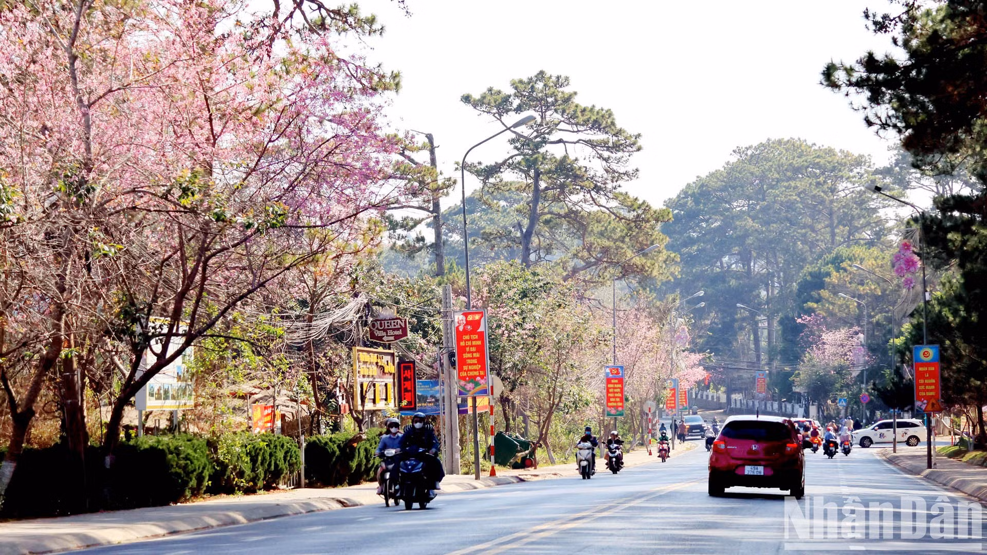 Ciudad vietnamita romántica con flores de cerezo