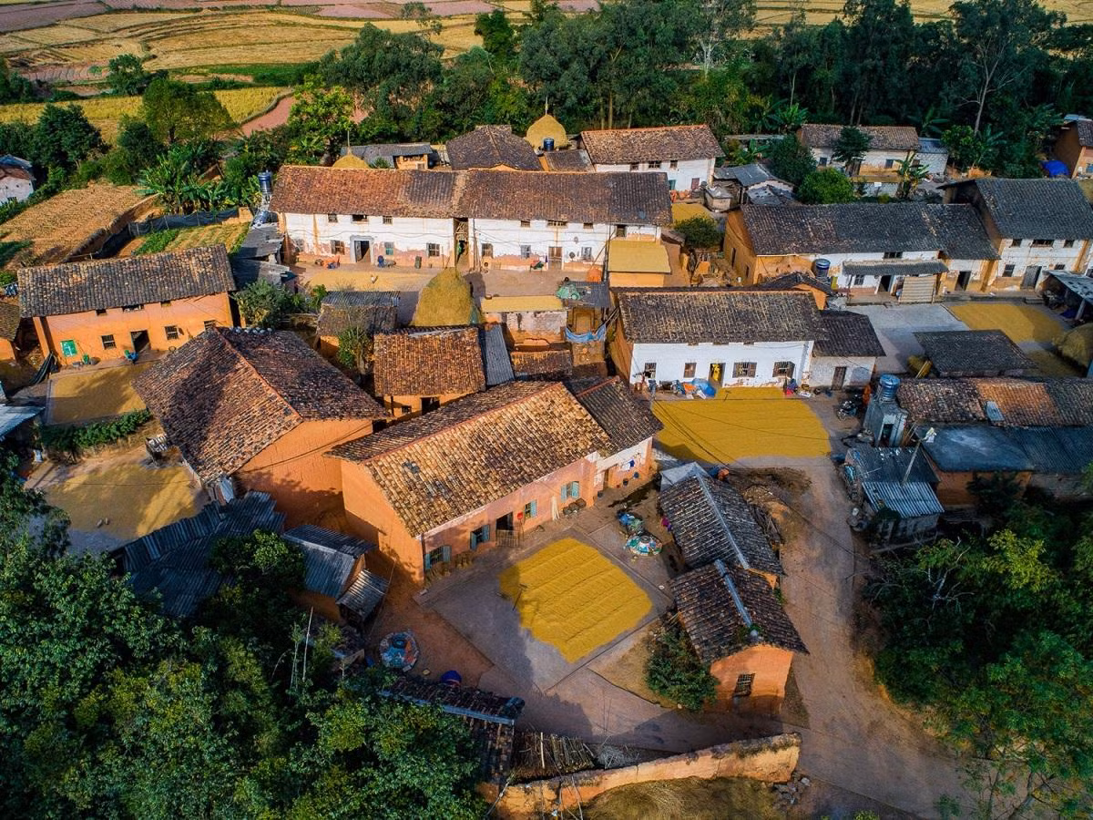 Una de las características culturales emblemáticas del distrito de Loc Binh son las casas de barro Trinh Tuong de los Nung, hechas de tierra para adaptarse a las condiciones climáticas extremadamente duras de las montañas. Ofrecen un ambiente fresco en verano y cálido en inverno. Una de las características culturales emblemáticas del distrito de Loc Binh son las casas de barro Trinh Tuong de los Nung, hechas de tierra para adaptarse a las condiciones climáticas extremadamente duras de las montañas. Ofrecen un ambiente fresco en verano y cálido en inverno.
