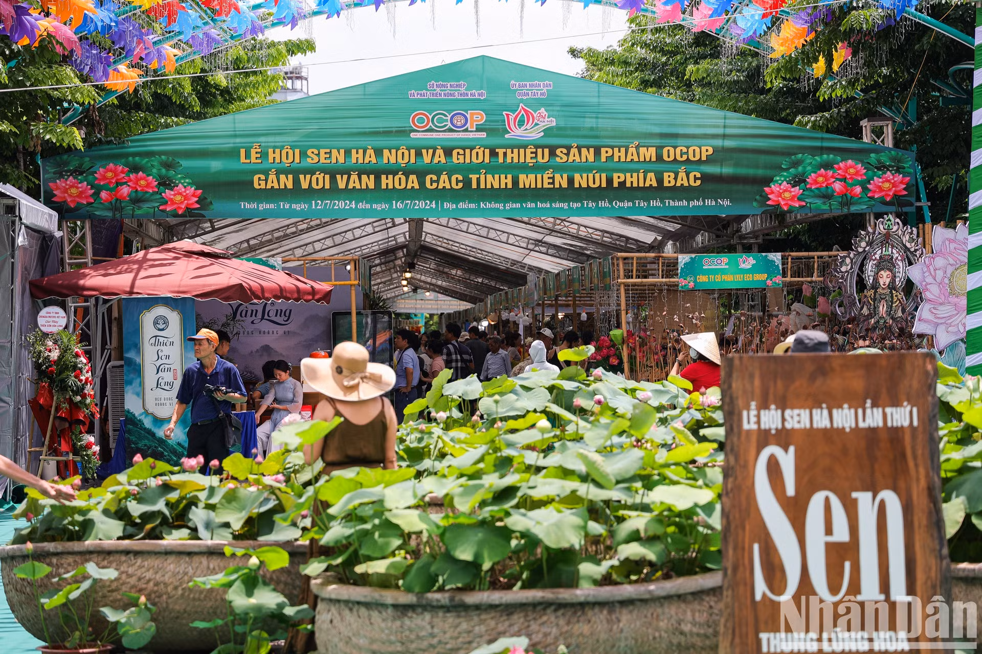 El Festival del Loto de Hanói 2024 es un evento organizado por primera vez por el Comité Popular del distrito de Tay Ho, en coordinación con el Servicio municipal de Agricultura y Desarrollo Rural y la Unión de Organizaciones de Amistad de Hanói con motivo del 70 aniversario de la Liberación de la Capital (10 de octubre de 1954). El Festival del Loto de Hanói 2024 es un evento organizado por primera vez por el Comité Popular del distrito de Tay Ho, en coordinación con el Servicio municipal de Agricultura y Desarrollo Rural y la Unión de Organizaciones de Amistad de Hanói con motivo del 70 aniversario de la Liberación de la Capital (10 de octubre de 1954).