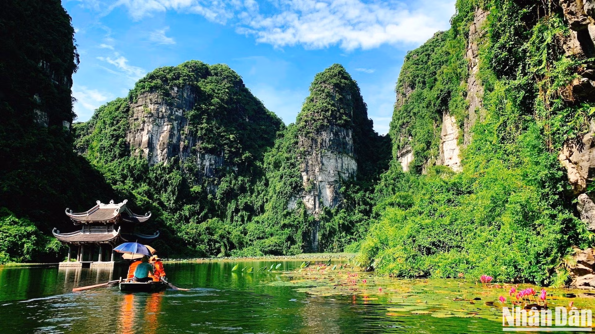 Con cielo azul, nubes blancas y nenúfares púrpuras que florecen alrededor de un escenario acuático (thuy dinh), los turistas se sienten como perdidos en un país de hadas.