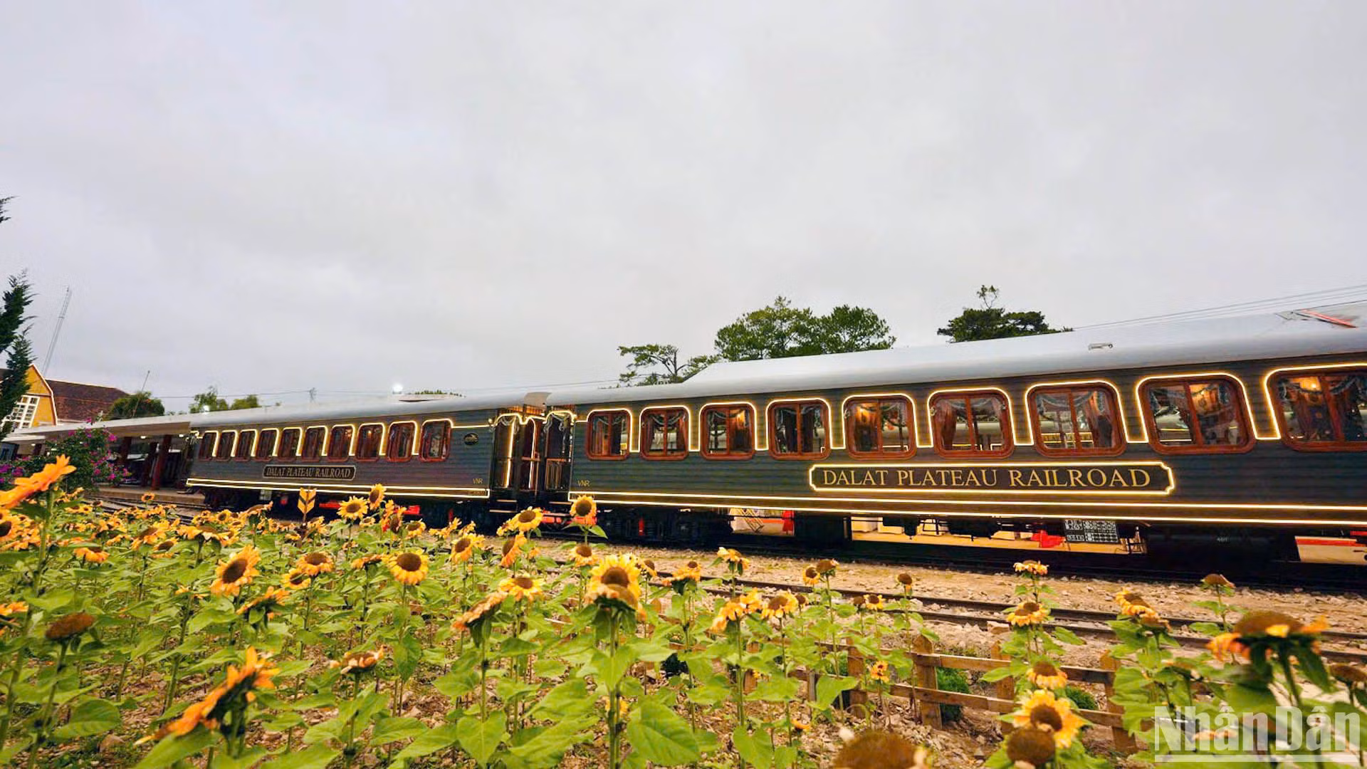 [Foto] Lanzan en Da Lat tren turístico "La reine" 