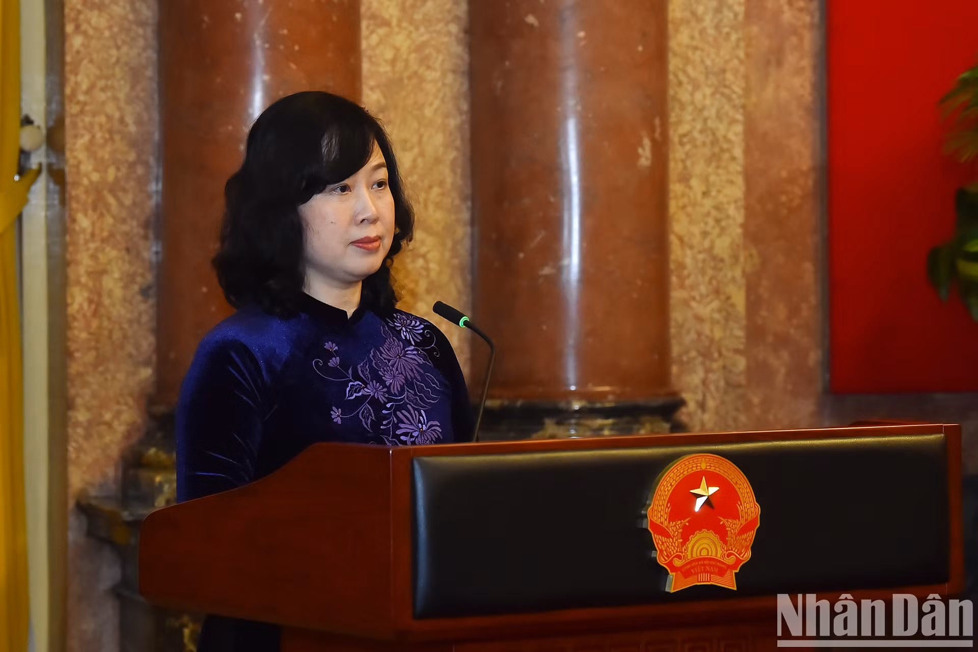 La ministra de Salud Pública, Dao Hong Lan, habla en la reunión.