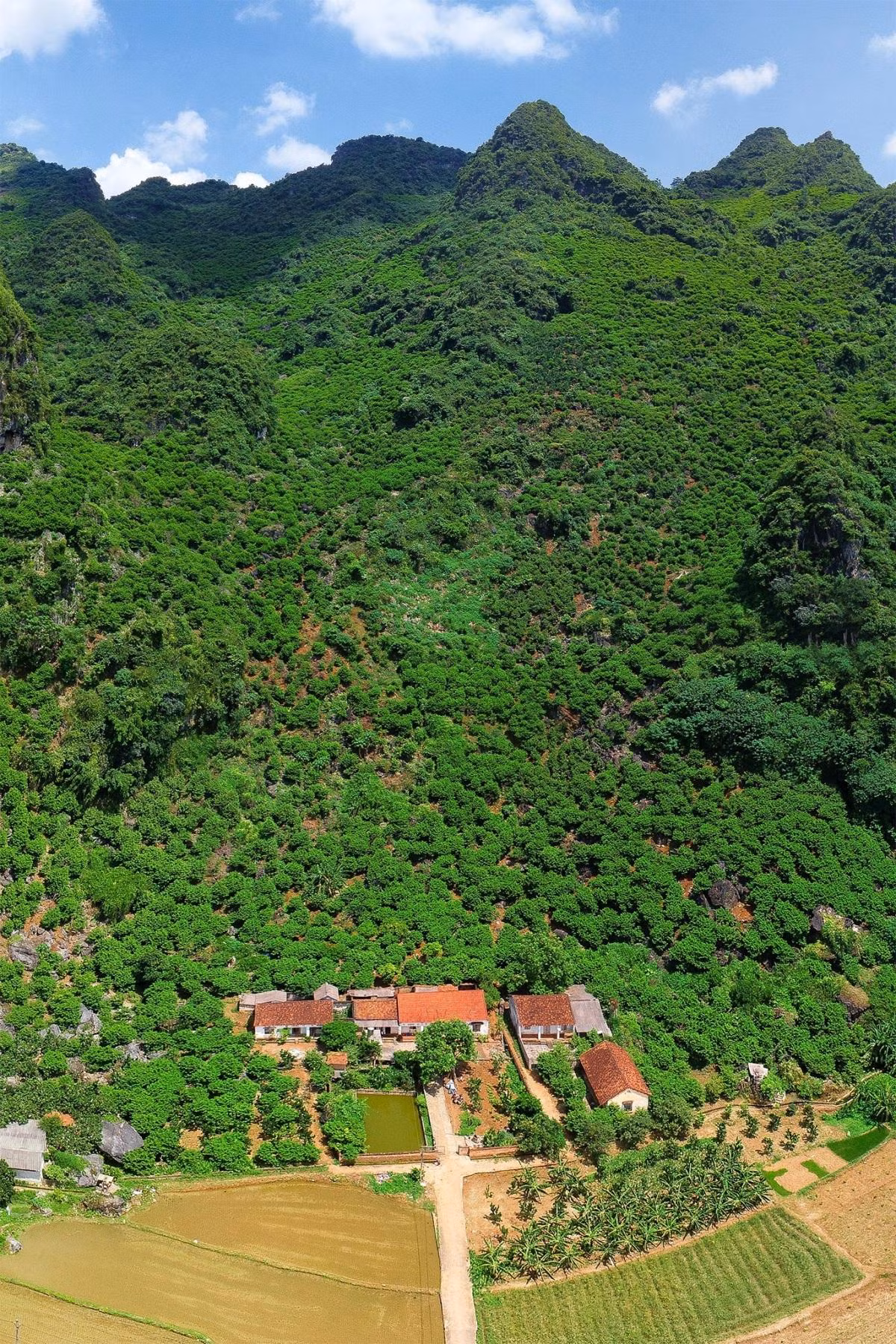 Al mencionar los sitios históricos de Lang Son, es imposible olvidar el vestigio de Chi Lang. Es un valle estrecho de unos 20 kilómetros cuadrados que limita al este con la montaña de Bao Dai-Thai Hoa y al oeste con la rocosa de Cai Kinh. Esa tierra es una de las cunas de la cultura de Lang Son. Al mencionar los sitios históricos de Lang Son, es imposible olvidar el vestigio de Chi Lang. Es un valle estrecho de unos 20 kilómetros cuadrados que limita al este con la montaña de Bao Dai-Thai Hoa y al oeste con la rocosa de Cai Kinh. Esa tierra es una de las cunas de la cultura de Lang Son.