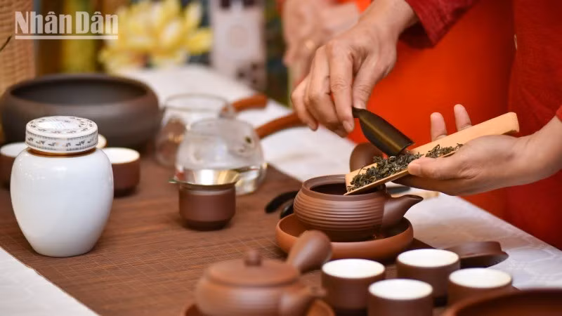 Presentan aroma y sabor de té vietnamita en Francia 