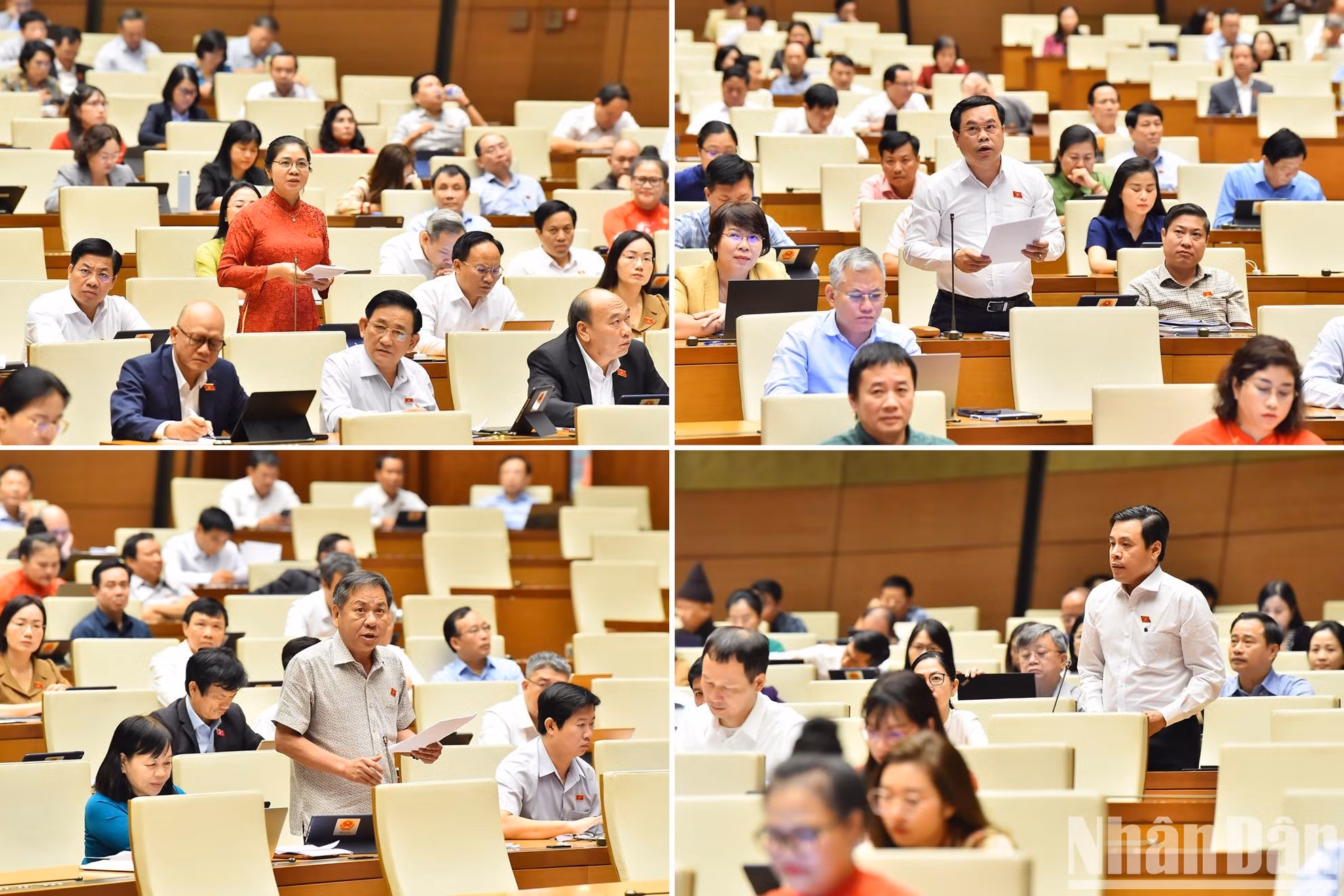 Los diputados presentan sus opiniones.
