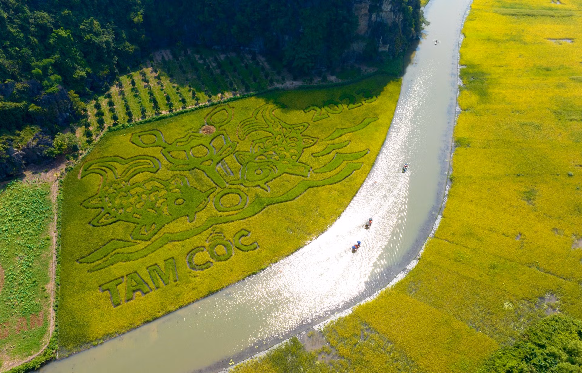 Quienes visiten Tam Coc por esos días tendrán la oportunidad de presenciar la obra Ly ngu vong nguyet (Carpas mirando a la luna), interpretada en un arrozal de más de nueve mil 500 metros cuadrados. Esa obra refleja la aspiración, los esfuerzos y la resiliencia de los vietnamitas para superar las dificultades. A través de esa obra artística, los campesinos expresan sus deseos de un año de paz y cosechas abundantes. La obra también refleja el apoyo del gobierno y los pobladores a la preservación de los valores culturales y naturales a fin de promover el turismo comunitario con un enfoque sostenible.
