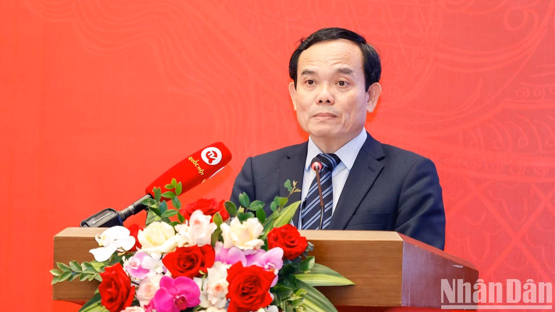 El viceprimer ministro Tran Luu Quang.