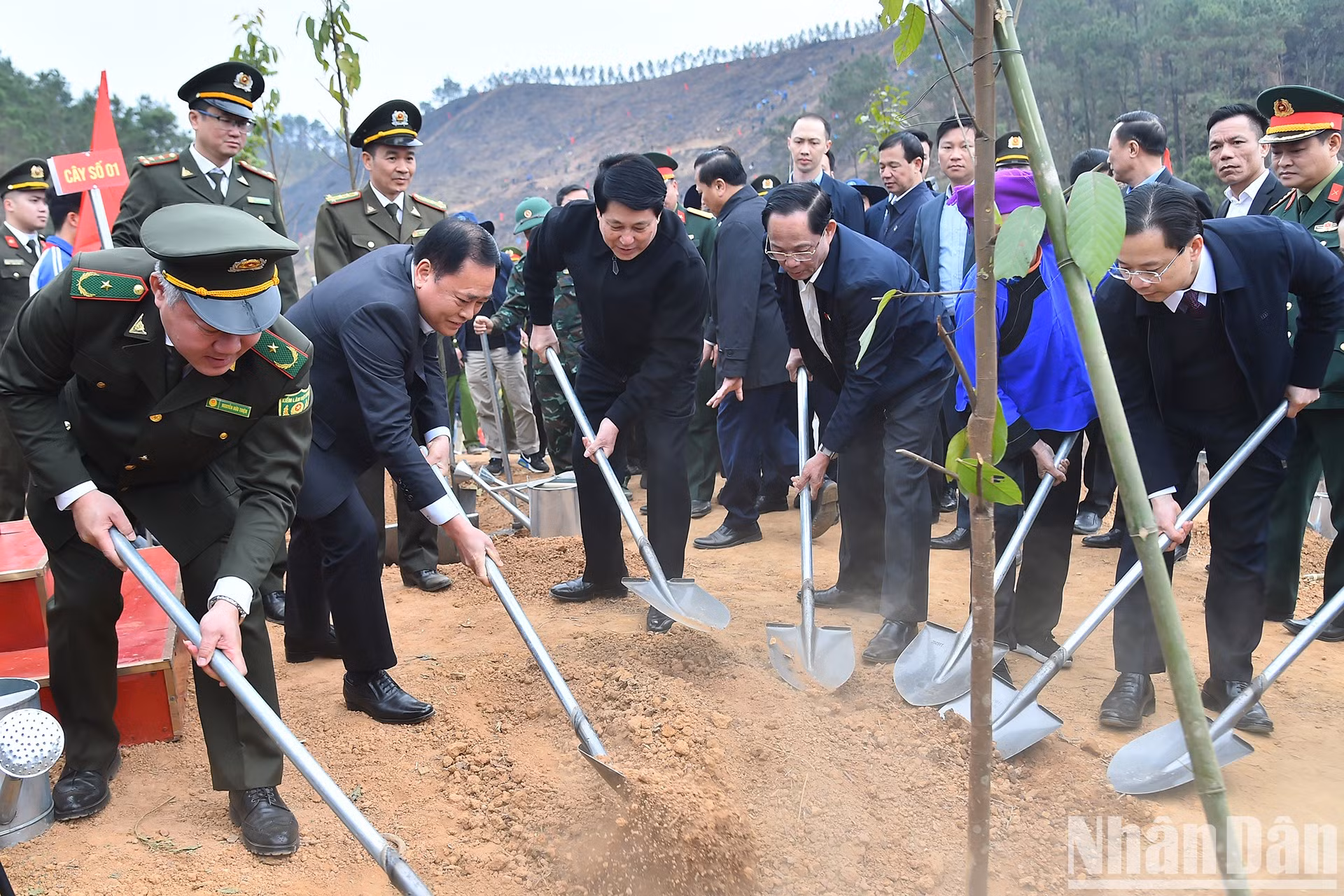 El presidente vietnamita Luong Cuong y los delegados siembran un árbol. El presidente vietnamita Luong Cuong y los delegados siembran un árbol.
