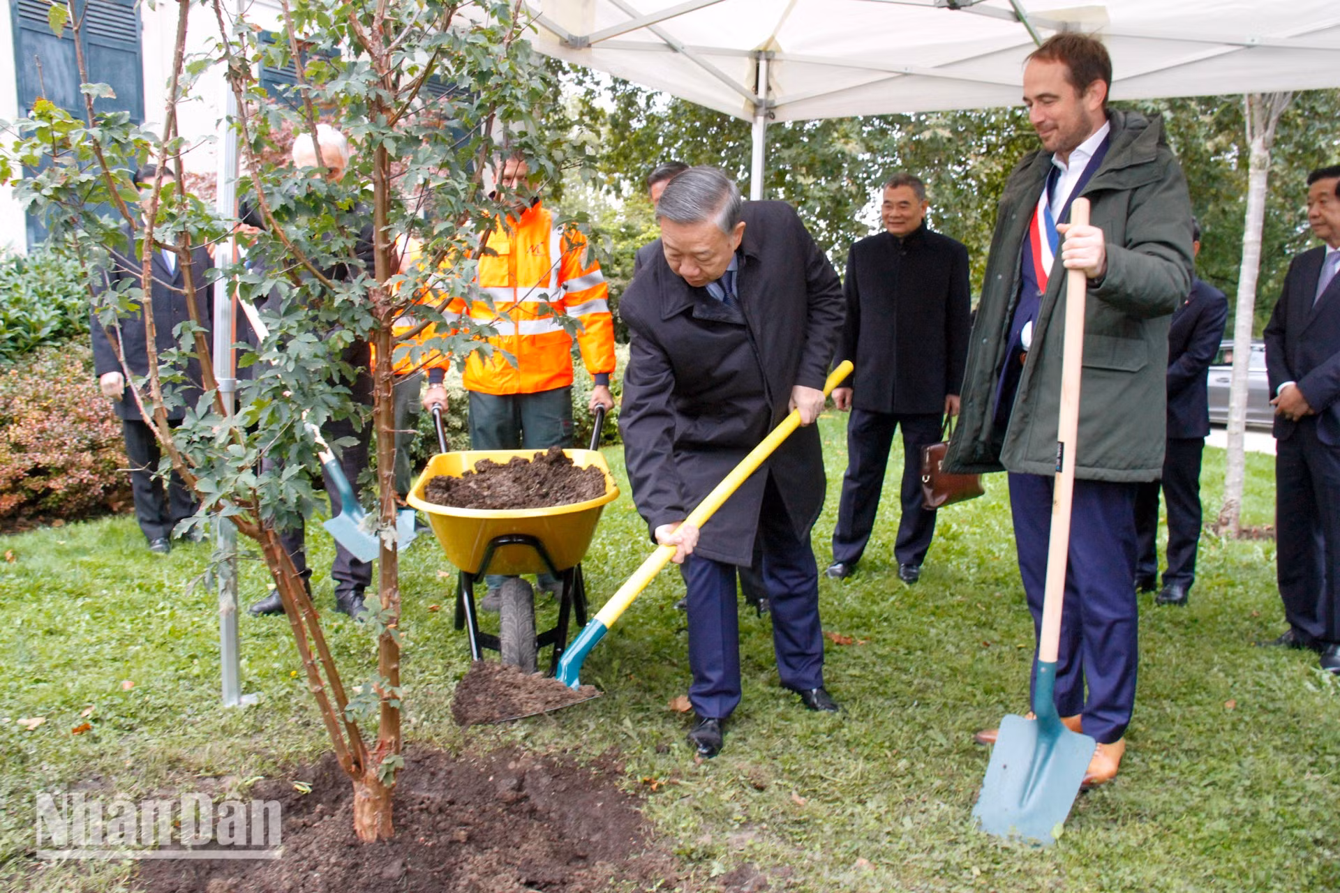 Los delegados plantan un árbol de recuerdo. Los delegados plantan un árbol de recuerdo.