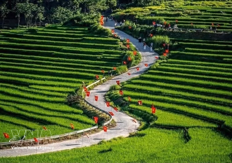 El sitio de ecoturismo comunitario de Pu Luong, en la provincia de Thanh Hoa, atrae a visitantes. (Foto: VNA)