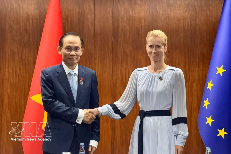 El ministro de Asuntos Exteriores, Le Hoai Trung, y Kaja Kallas, vicepresidenta de la Comisión Europea y alta representante de la UE para Asuntos Exteriores y Política de Seguridad. (Foto: VNA)
