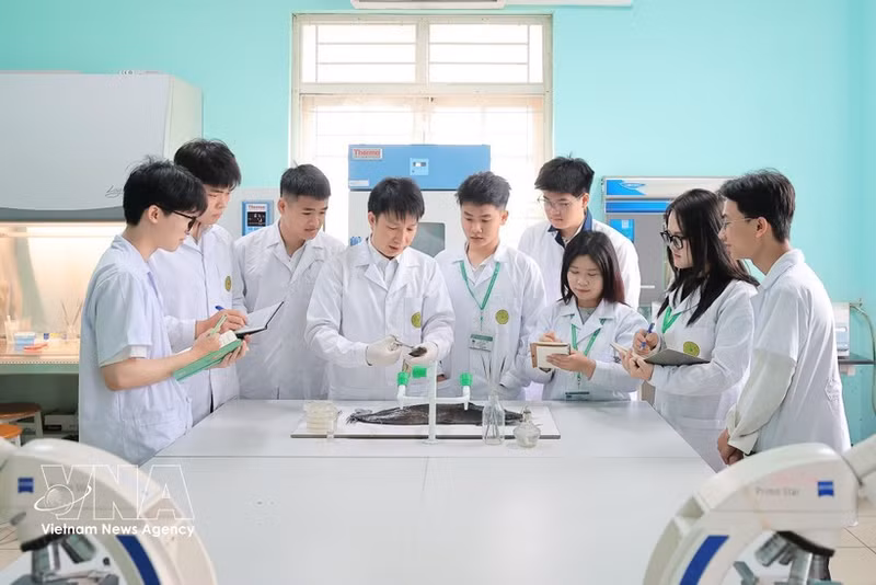 Un profesor enseña a sus estudiantes el diagnóstico de enfermedades en animales acuáticos. (Foto: VNA)