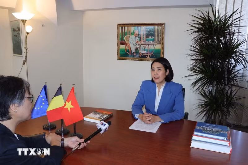 La embajadora de Vietnam en Bélgica y jefa de su misión ante la UE, Nguyen Huong Tra, en la entrevista. (Foto: VNA)