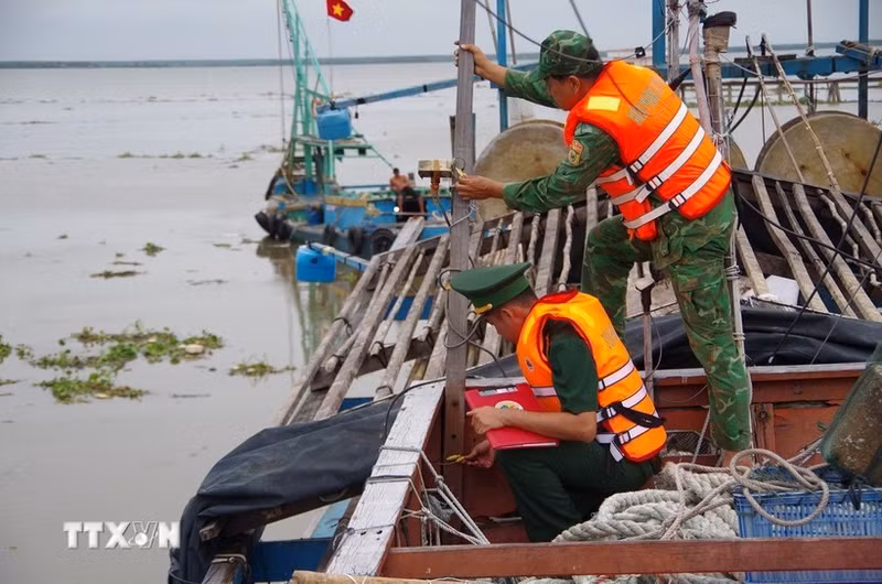 Dong Thap supervisa de cerca la actividad de barcos pesqueros. (Foto: VNA)