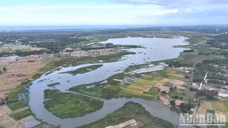 Un rincón del campo de juncos del río Dam desde arriba.