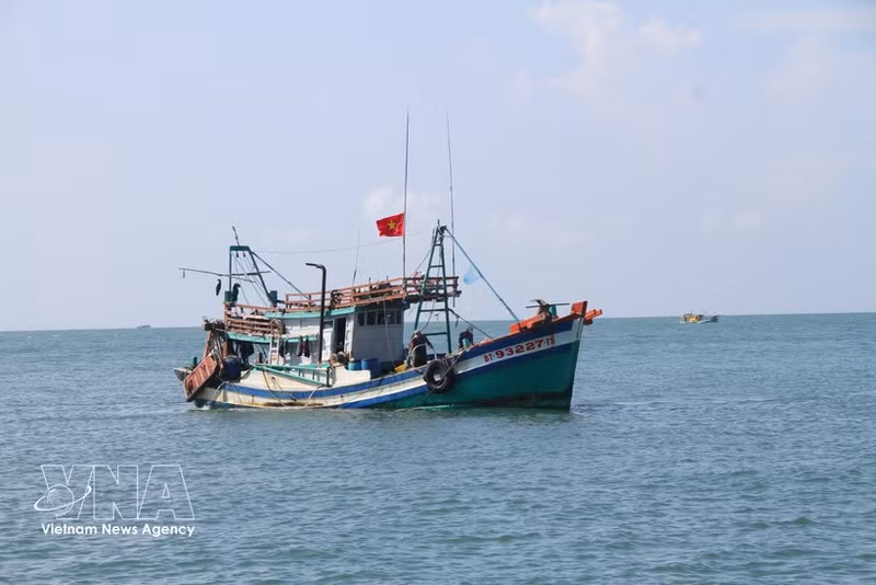 Foto de ilustración. (Fuente: VNA)