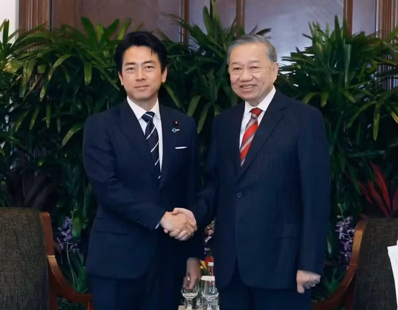 El secretario general del Partido Comunista y presidente de Vietnam, To Lam, recibe al ministro de Defensa japonés, Koizumi Shinjiro. (Foto: VNA)