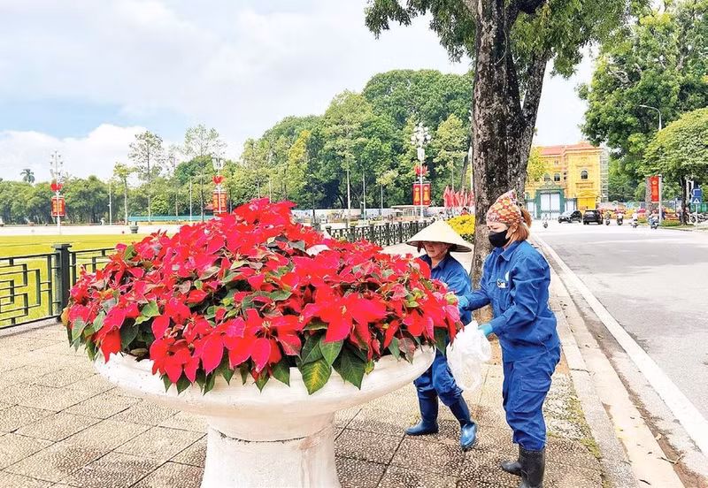 Los equipos de embellecimiento urbano garantizan que el paisaje local se mantenga pulcro durante el feriado nacional.
