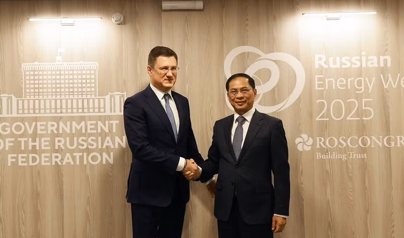 El viceprimer ministro vietnamita Bui Thanh Son (derecha) se reúne con su homólogo ruso, Aleksandr Novak. (Foto: Nhan Dan)