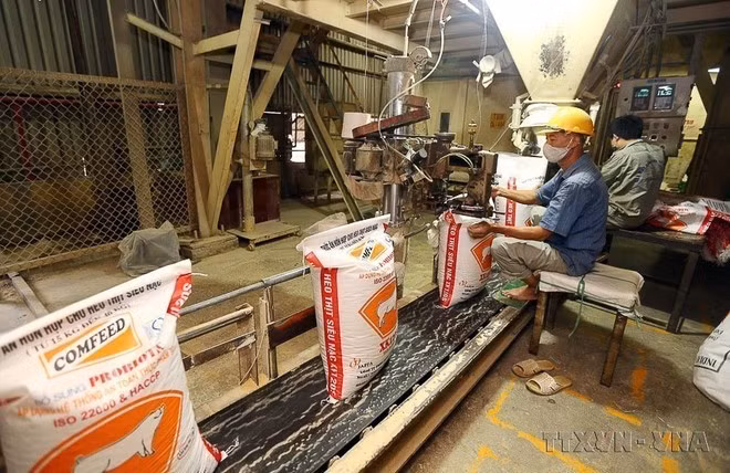 Línea de producción y empaquetado de alimento para ganado en la sucursal de la compañía de Rapfa Confeed Vietnam (con inversiones de Indonesia). (Foto: VNA)