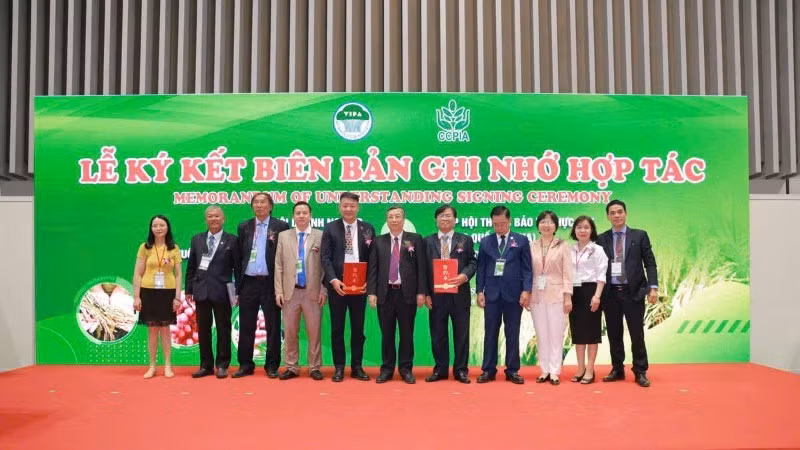 En un acto de firma de la cooperación Vietnam-China en desarrollo de variedades vegetales y materiales agrícolas. (Fotografía: Nhan Dan)