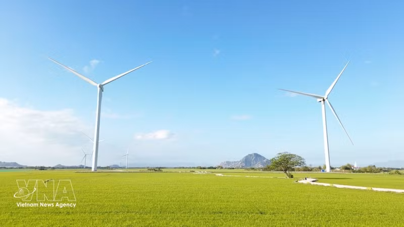 El parque eólico de Dam Nai en la comuna de Thuan Bac, provincia de Khanh Hoa. (Foto: VNA)