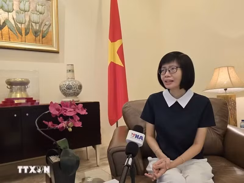 La embajadora Ton Thi Ngoc Huong, jefa de la misión permanente de Vietnam ante la Asean. (Foto: VNA)