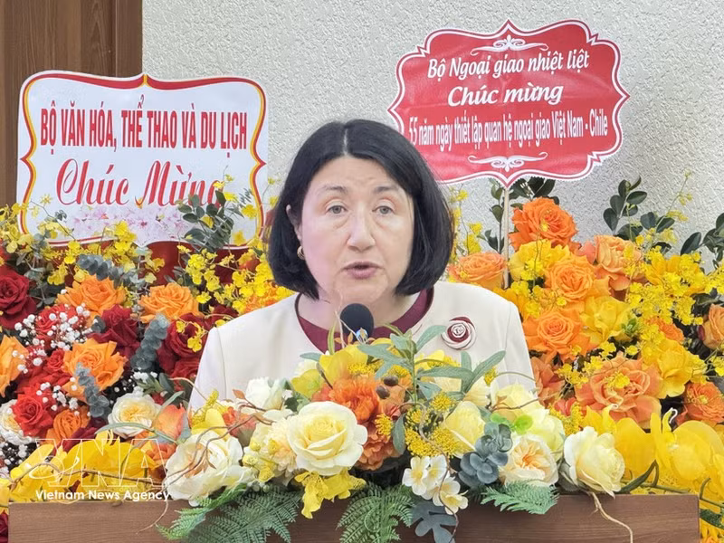 La embajadora de Chile en Vietnam, Nasly Bernal Prado. (Foto: VNA)