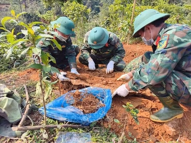 Vietnam lanza una campaña de 500 días y noches para la búsqueda y la repatriación de restos de mártires. (Foto: VNA)