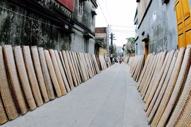 Las obleas de arroz para rollitos se secan a lo largo del camino del pueblo.